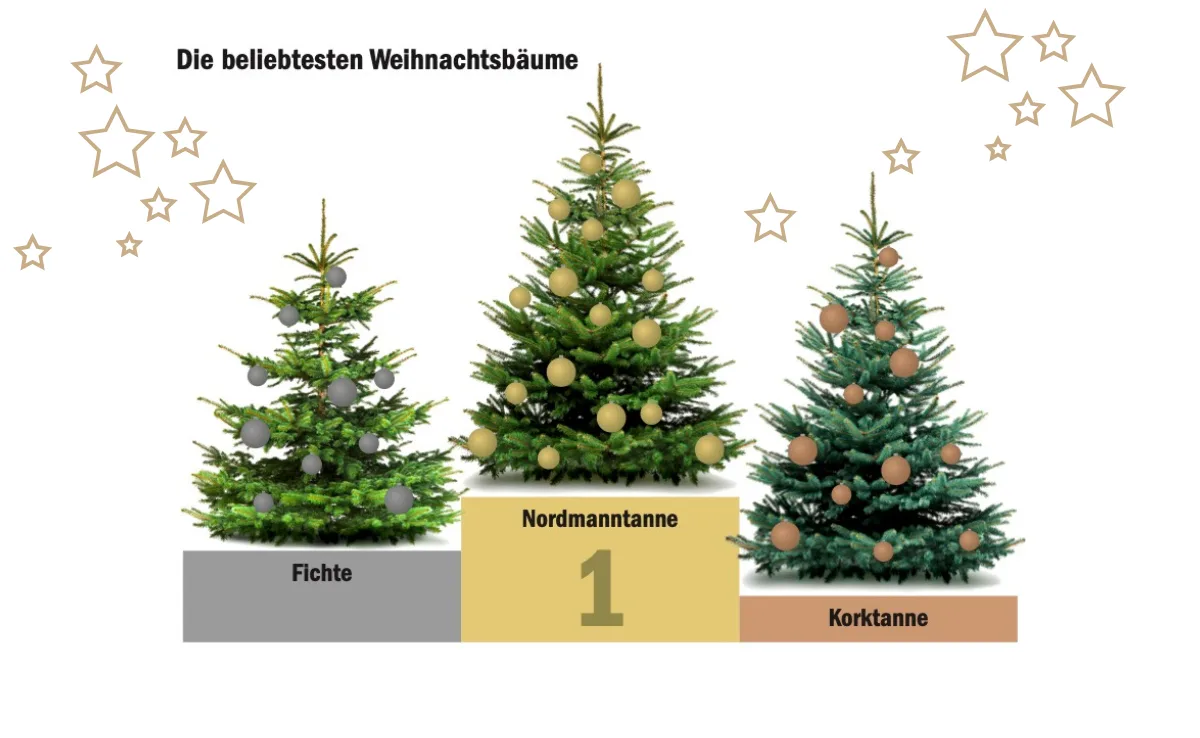 Tannenbaum_Hitparade_12 Die Nordmanntanne ist der beliebteste Weihnachtsbaum – sie punktet mit Frische