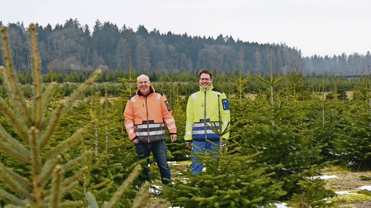 26a0c6b0b5791738d5e185e06aa585ddfeb4340c Weihnachten, oder zumindest die dazugehörenden Weihnachtsbäume, sind das ganze Jahr hindurch Thema bei Markus (links) und Patrick Heri. Offensichtlich verleidet es ihnen nicht. (Bilder BauernZeitung/Andrea Wyss)