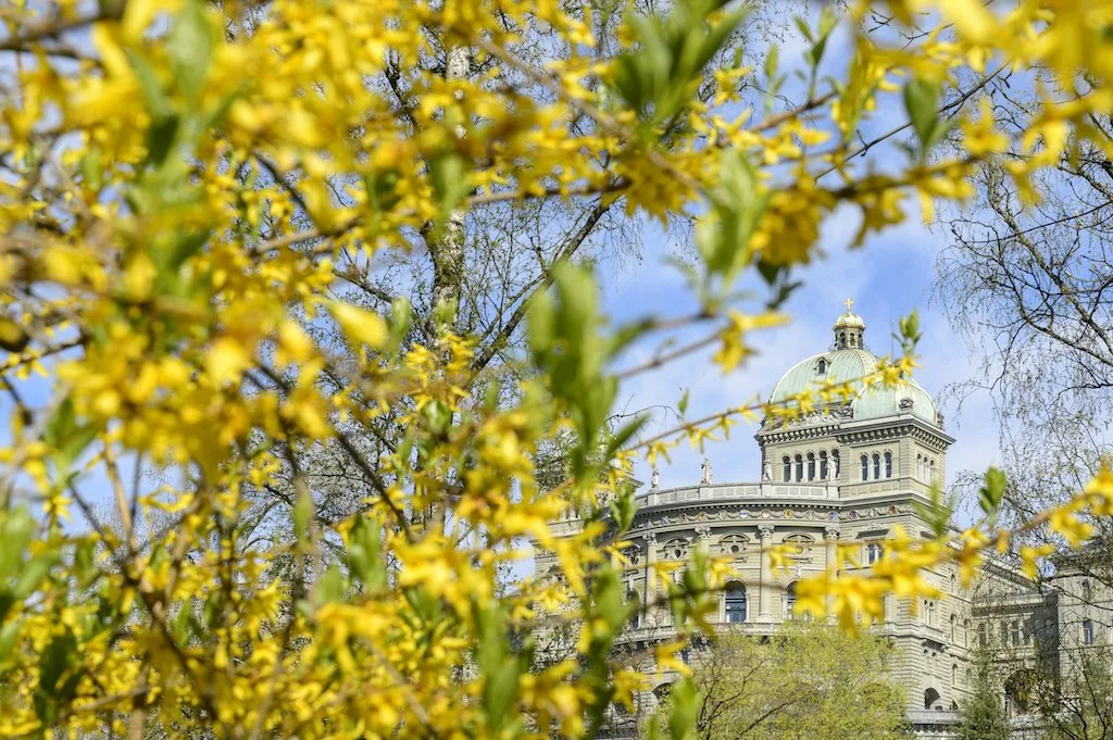 bundeshaus_fruehling Die Frühlingssession 2024 wird Milch- und Baulastig