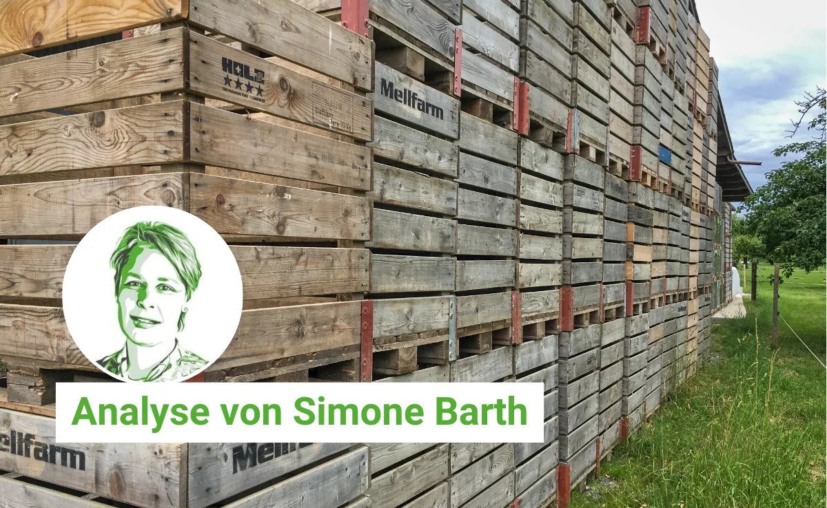 Die Paloxen-Krise: Wenn Planung und Praxis auseinanderfallen