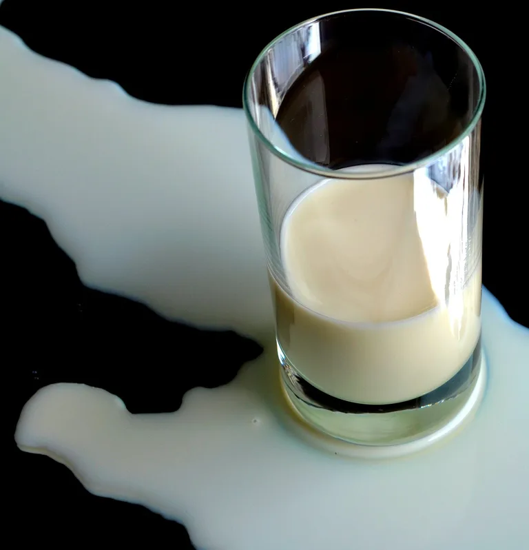 ff78f32e140621f21f151ce29dbdf1700d4ce2d9 Zu viel Milch: Davor warnen österreichische Molkereien. (Symbolbild pd)