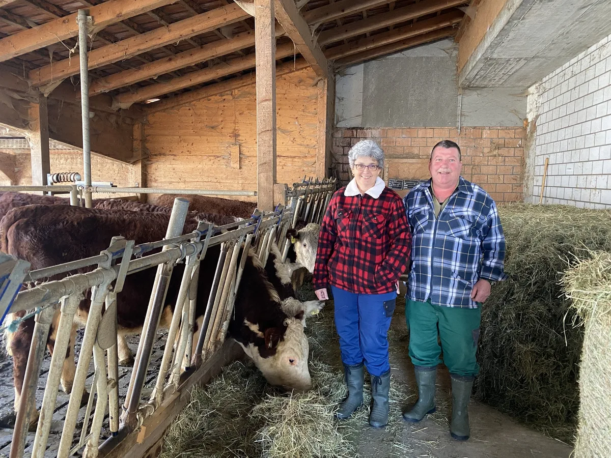 hereford_portraet-maders_freundlich «Hereford sind schöne und ruhige Mutterkühe»