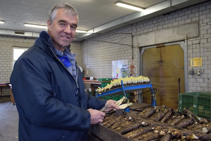 1ba43edc0f27b46da9f3b733b7d126d5d283e06d Gemüsebauleiter Markus Schumacher produziert auf dem Tannenhof Wurzel und Zapfen. (Bilder ey)