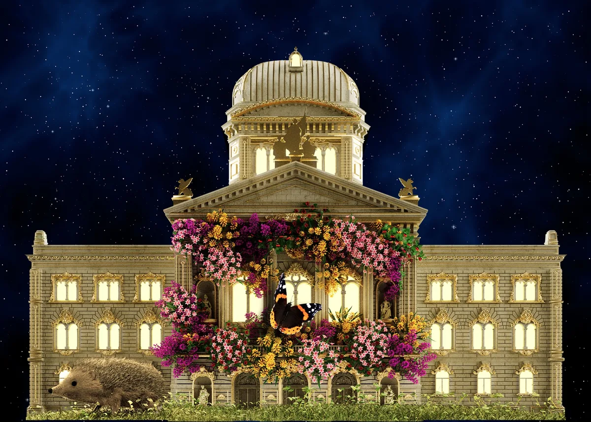rvb26-12-Finale-und-Verbeugung-.jpg Das Finale der Show: Das Bundeshaus blüht. Erinnert fast an ein Klischee. Nämlich an das Bauernhaus mit den roten Geranien.