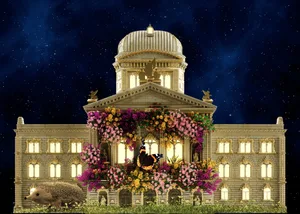 Das Finale der Show: Das Bundeshaus blüht. Erinnert fast an ein Klischee. Nämlich an das Bauernhaus mit den roten Geranien.