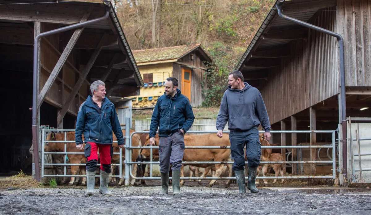 acbecea42e0ad9f4a2bfdcd8594b368b09e4fdea Flexibler zu dritt: Peter Hurni, Thomas Augstburger und David Ramseier von der Betriebsgemeinschaft Aare-Bio. Bild: Pia Neuenschwander
