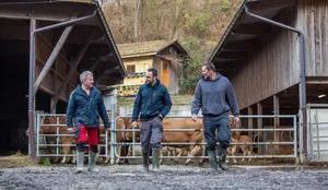 Flexibler zu dritt: Peter Hurni, Thomas Augstburger und David Ramseier von der Betriebsgemeinschaft Aare-Bio. Bild: Pia Neuenschwander