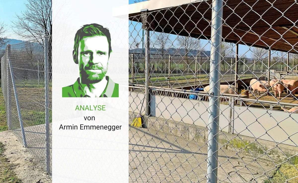 Artikel_Analyse_BauZ__7_ Analyse: Schweizer Kompromiss bei der Biosicherheit
