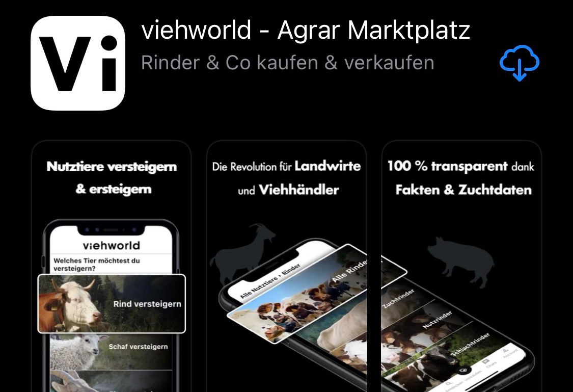 Österreicher lancieren «Ebay für Kühe» – und die Schweiz?
