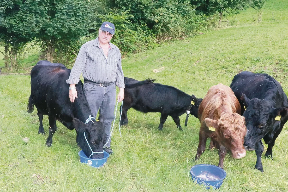 f391df4188b8ffe67c08f5ef827bbac3b1b42983 Martin Meyer mit der 19-jährigen Mette an der Halfter, ganz rechts die 17-jährige Bettina, dazwischen tummeln sich die 17. Kälber der beiden Dexterkühe. Sie haben die 18. Kälber im Bauch. (Bild Ruth Aerni)