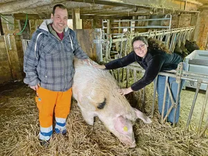Andreas Hirschi, Esther Hürlimann und Johnny. Der 435 kg schwere, 4-jährige Eber ist nun auf dem Hof Biseggmatte, wo er als Deckeber bis zu seinem Lebensende verbleiben wird.