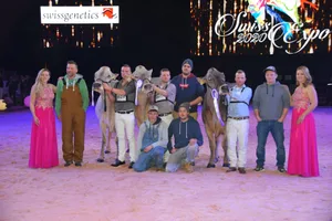 Die Championwahl (v. r. n. l.): Plattenbach BS Glenny Gina von Peter und Fabian Betschard und Plattenbachs Cows aus Muotathal SZ; Reserve wurde Alino Blena von Tom und Noe Salzgeber aus Pany GR. Mention Honorable wurde Jongleur Wendy von der WTS-Genetics aus Menznau LU. (Bilder Peter Fankhauser)