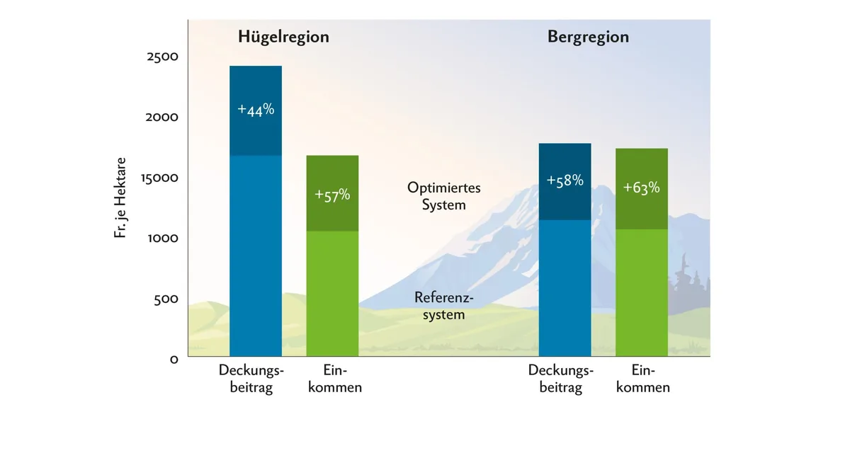 62f4b6807be4cf96b1e79fac56b9362ce3aa219c In den optimalen Lamm-Produktionssystemen sind der Deckungsbeitrag und das Einkommen wesentlich höher als bei den Referenzsystemen. Grafik: Doris Rubin