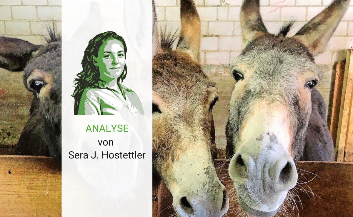 Den Esel füttern und dadurch den Sinn des Lebens wiederfinden