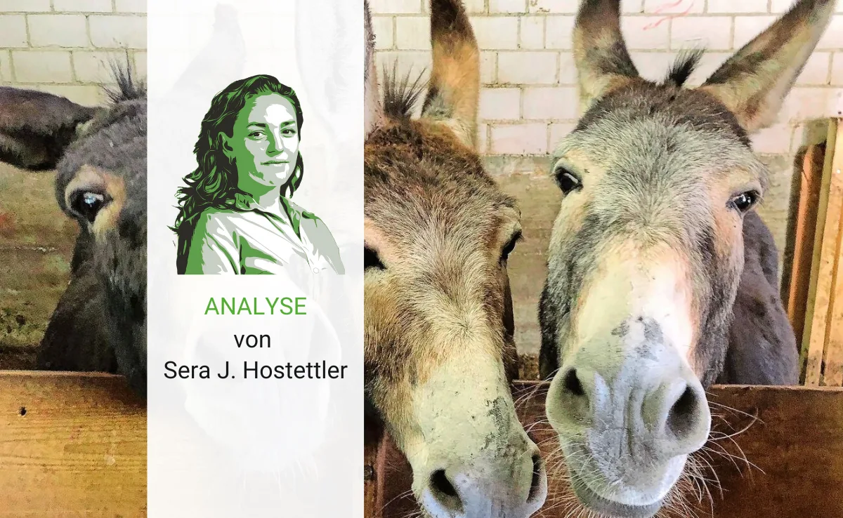 Den Esel füttern und dadurch den Sinn des Lebens wiederfinden