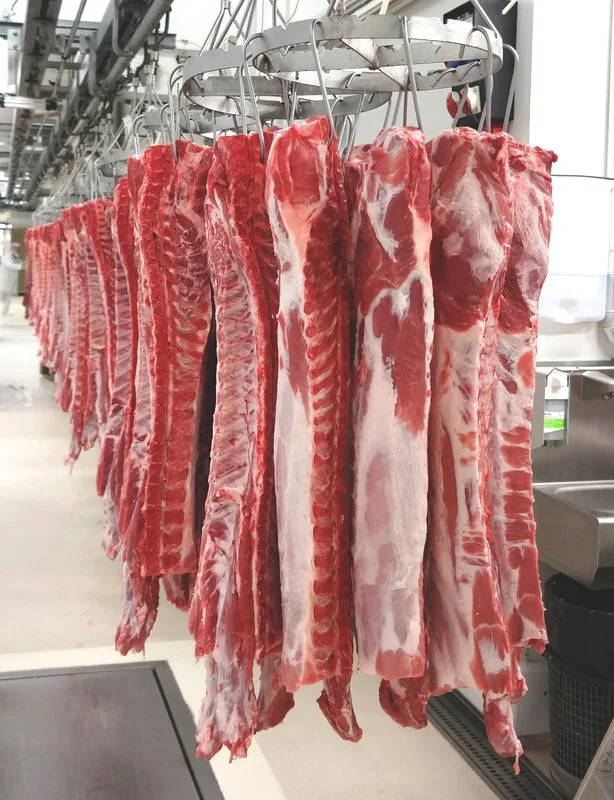 46a5c58146b9cf5c3bb7e6e92077bb563384f34d Laut des kanadischen Fleischverbands CMC sei neben Schweinefleisch auch Rindfleisch von dem Bann betroffen. (Bild Josef Kottmann)