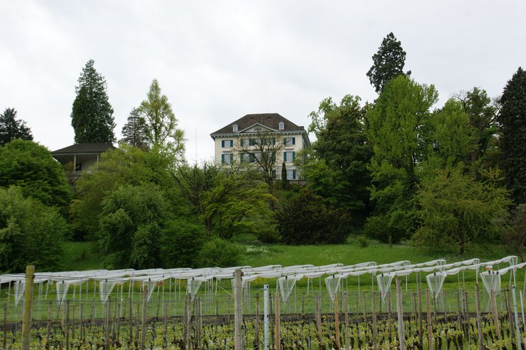 Der Agroscope-Standort Wädenswil. (Bild ji)
