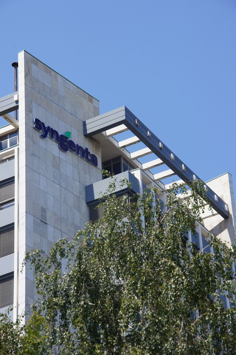Der Syngenta-Hauptsitz in Basel. (Bild lid)