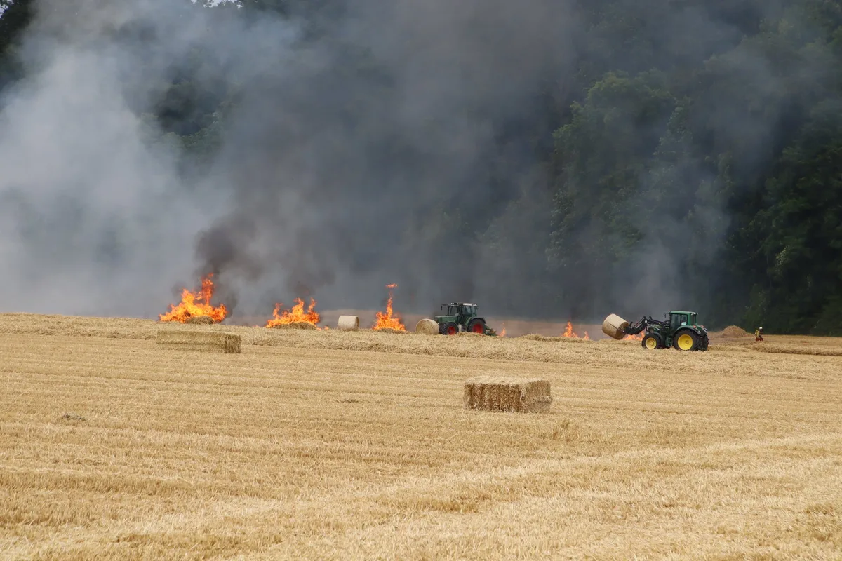 Kleinandelfingen_brennendes_Strohfeld_29.06.23 Ballenpresse löst Flächenbrand aus