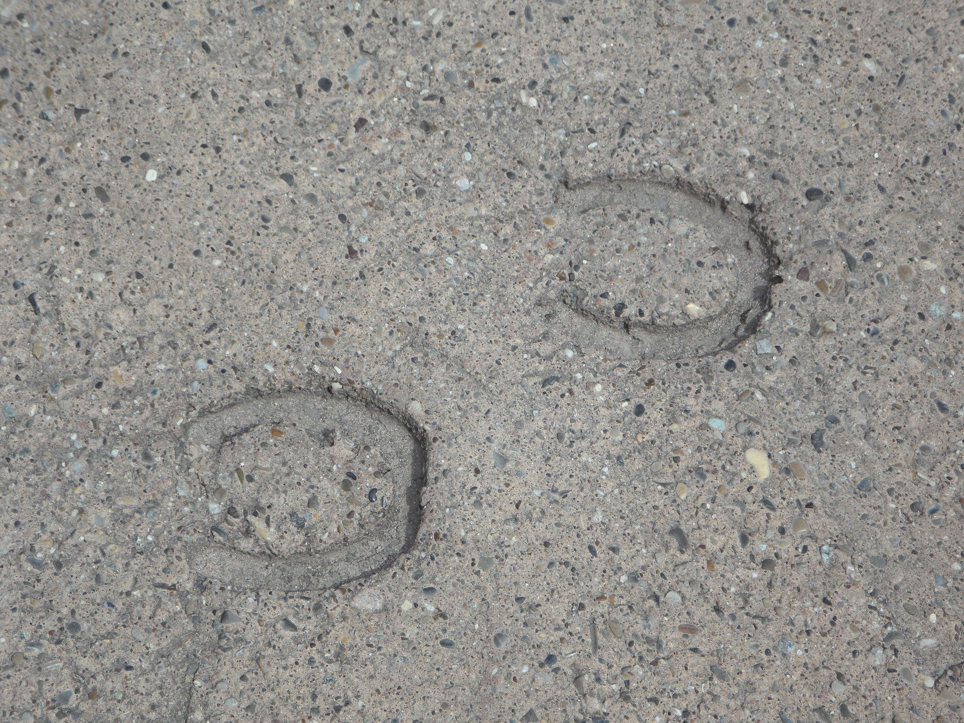 Hefenhofen-Urteil «in Sachen Tierquälerei skandalös»