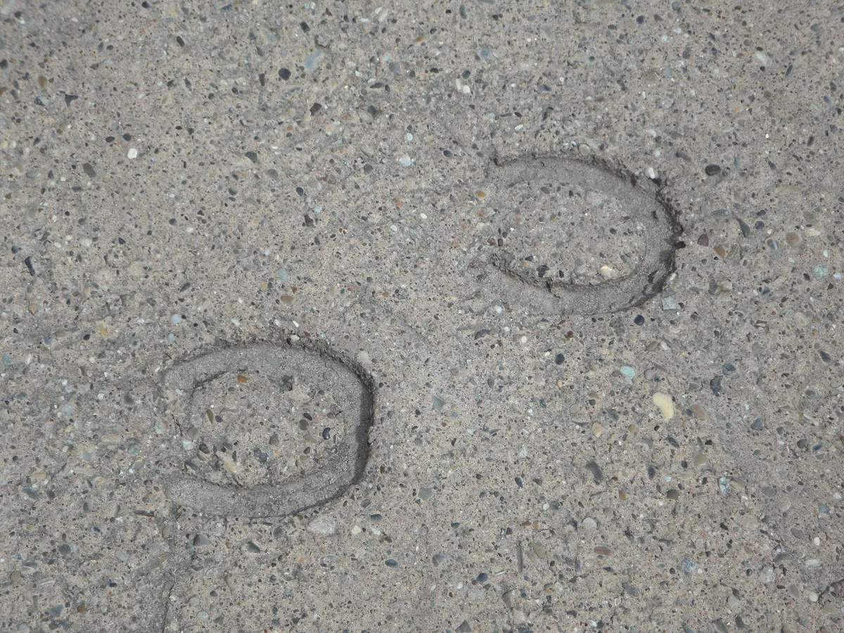 hufspuren_MW Hefenhofen-Urteil «in Sachen Tierquälerei skandalös»