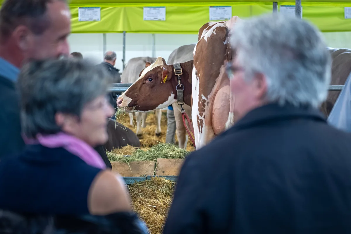 Viel Know-how für moderne Landwirte