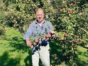 Werner Locher in seinem Obstgarten in Bonstetten ZH. Zweien ist eines seiner Hobbys. Als Bauer setzte er sich viele Jahre für faire Milchpreise ein.
