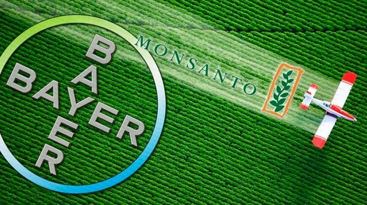 Trotz der Glyphosat-Probleme hat Bayer 2019 Umsatz und Gewinn deutlich gesteigert. (Bild Bayer)
