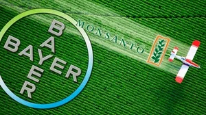 Trotz der Glyphosat-Probleme hat Bayer 2019 Umsatz und Gewinn deutlich gesteigert. (Bild Bayer)