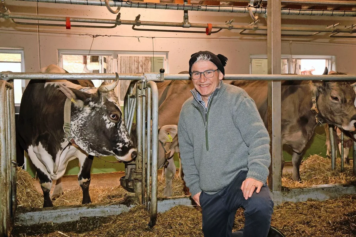 8a165edabe22bbf3649a74b1a75c389deee7f8c55ae63db96b584afd7ca3bbad Christian Manser mit einer Blüem-Kuh im Stall von Familie Brunner. Manser zeigte in seinem Vortrag, wie man das Tierwohl in einem Anbindestall mit Aufmerksamkeit und wenigen Massnahmen massgeblich verbessert.