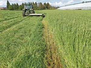 Mit dem integrierten Aufbereiter am Mähwerk wird die Anwelkzeit verringert – besonders bei feuchtem Wetter nützlich. (Bild Lukas Streit)