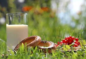 Weder bei den Analysen noch der Datenübermittlung der Gefrierpunkte sind Fehler aufgetaucht. Die Werte können aber von vielen Faktoren beeinflusst werden, die nicht zu sanktioniere sind – z. B. schnell wachsendes Gras im Sommer. (Bild Pixabay)