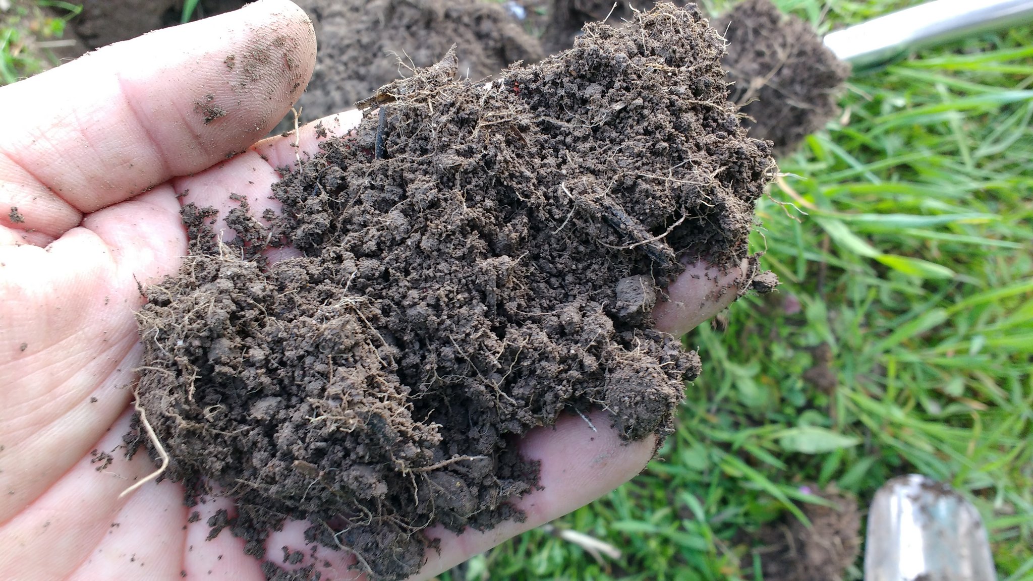 Landwirt Anno Lutke Schipholt erweckt den Boden zum Leben