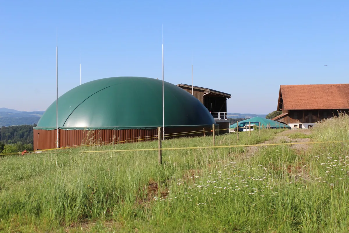 Das neue Fördermodell für Biogasanlagen helfe, gehe aber nicht weit genug
