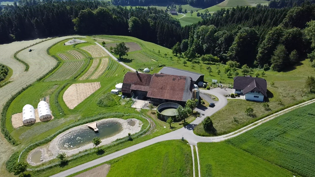 Auf dem Katzhof bilden Wassergräben, Agroforst, Speicherbecken, Weiher und Biotope ein ganzheitliches Wassermanagementsystem.