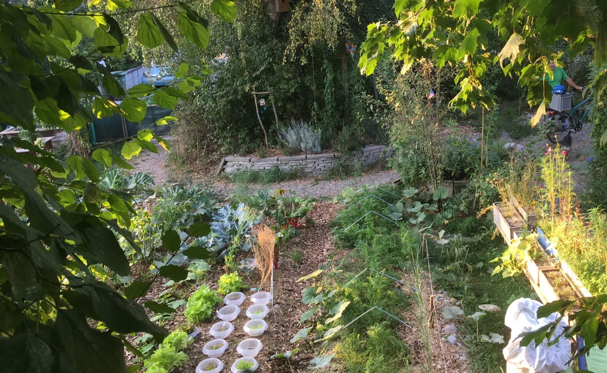 garten_bd_jsc Private werden aktiv: Biodiversität interessiert nicht nur Bauern und Ämter