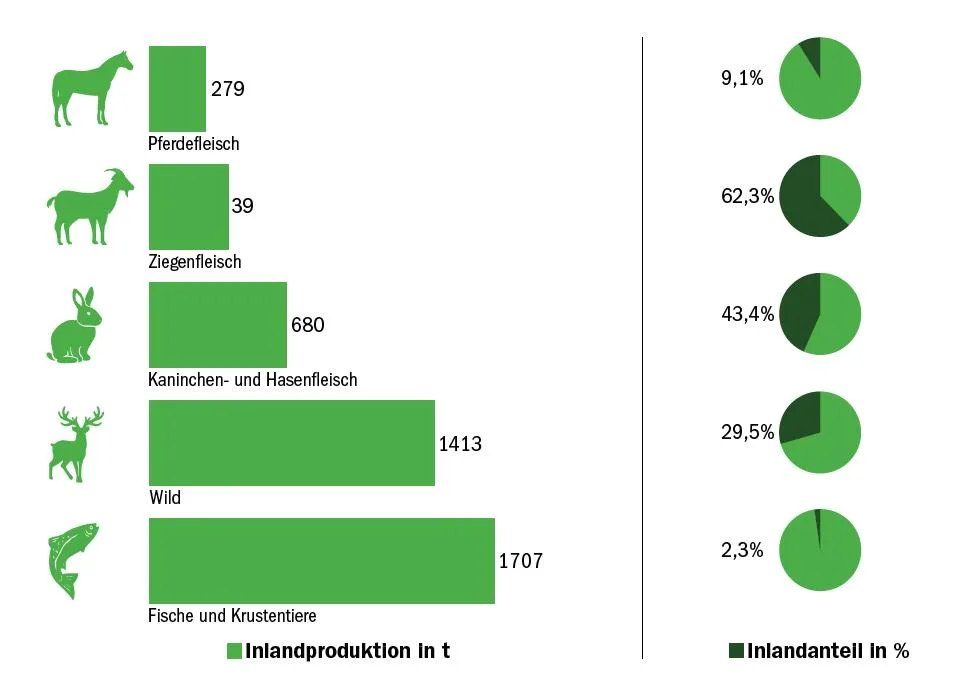 (Grafik BauZ)