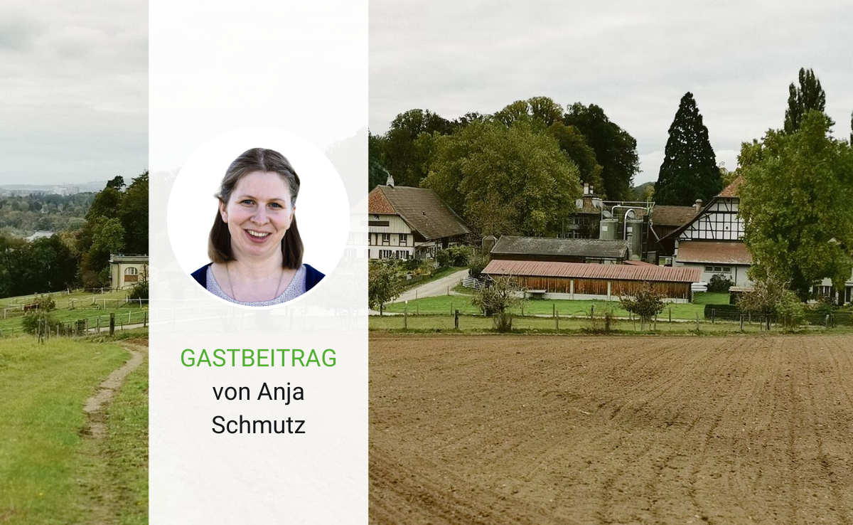 Eine Beratungsperson im Team kann den Erfolg und die Freude am Unternehmen steigern