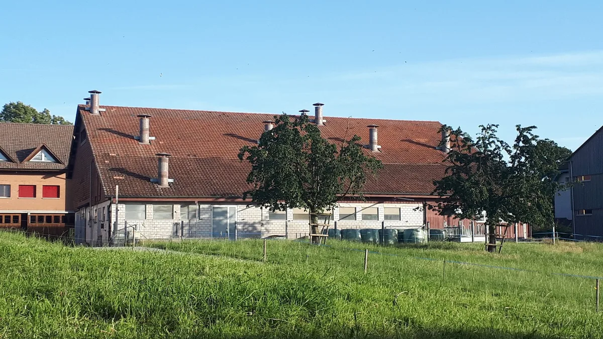 Der 1959 erbaute Milchviehstall am Arenenberg wird in den nächsten Wochen abgebrochen und durch einen modernen Stall ersetzt. (Bild zVg)