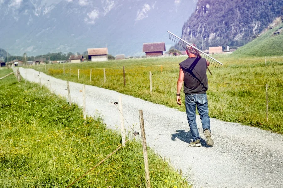 Die Landwirtschaft bietet krisengeplagten Menschen Stabilität und Sicherheit
