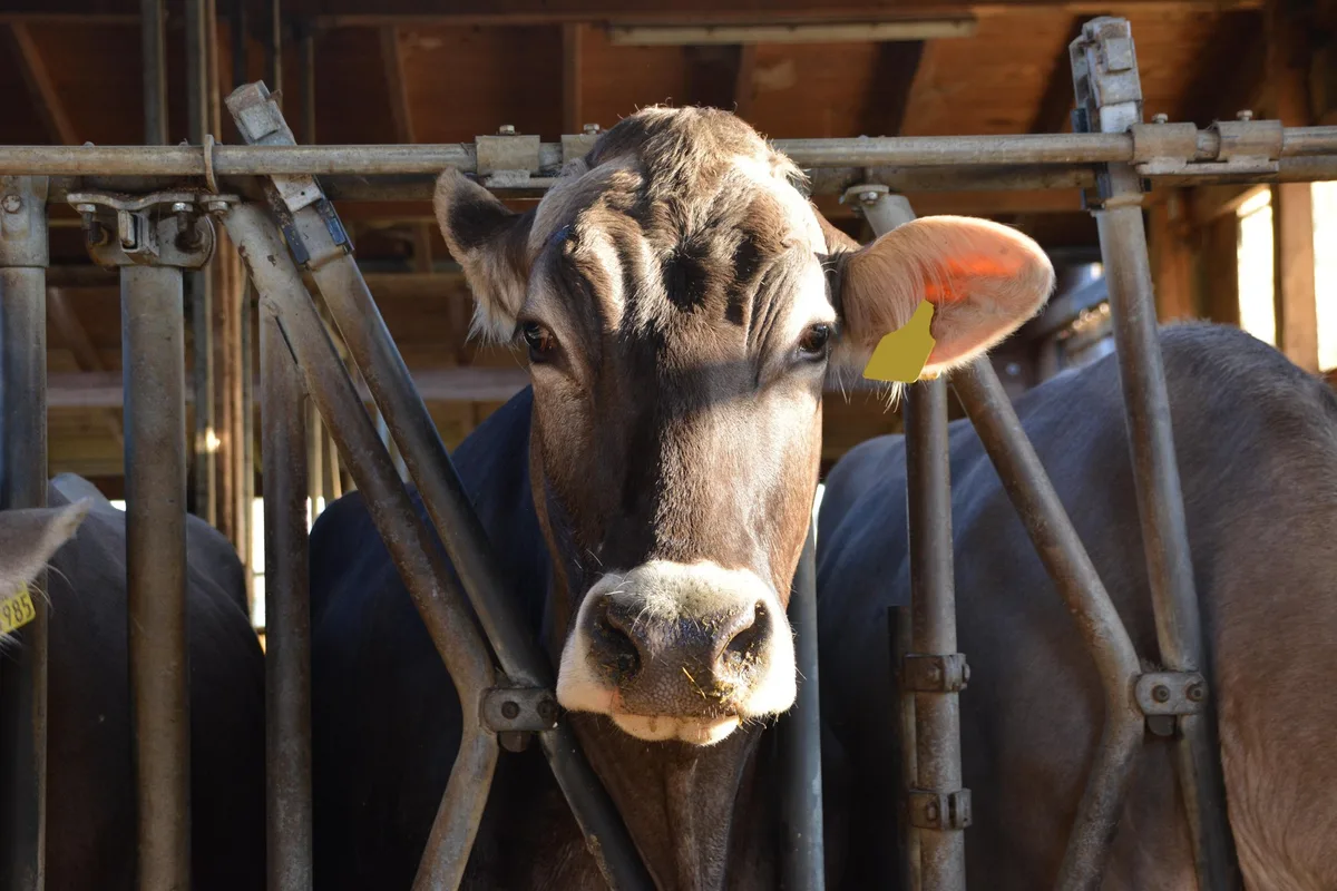 «Mini-AP» in der Summe positiv, aber Landwirte bei der Erarbeitung ausgeschlossen