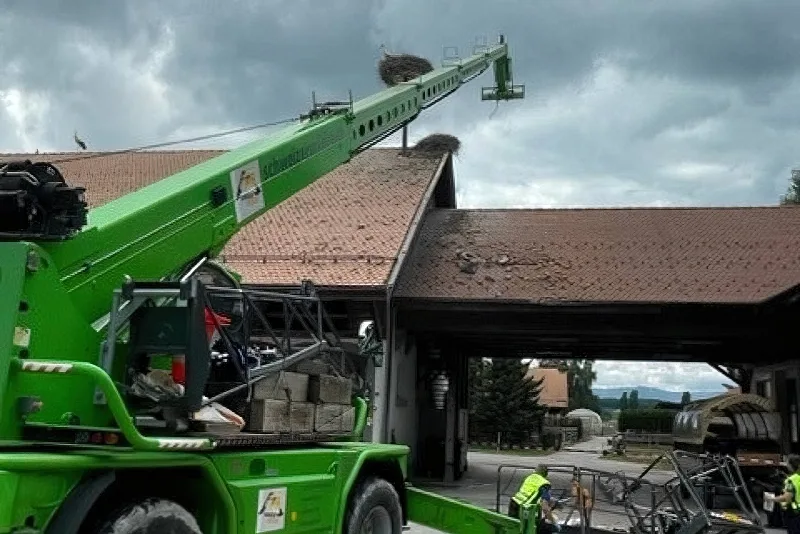 csm_accident_mortel_Avenches_7776b193c6-low_res-scale-0_50x-gigapixel Arbeitsunfall auf Schweizer Nationalgestüt in Avenches fordert einen Toten