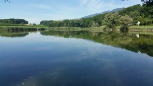 Der Bellacher Weiher im Sommer 2017: Der idyllische Blick übers Wasser erinnert in keiner Weise an den früheren Zustand des Gewässers.