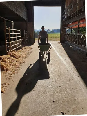 Wenn auf dem Betrieb jemand ausfällt, braucht es kompetente Hilfe.