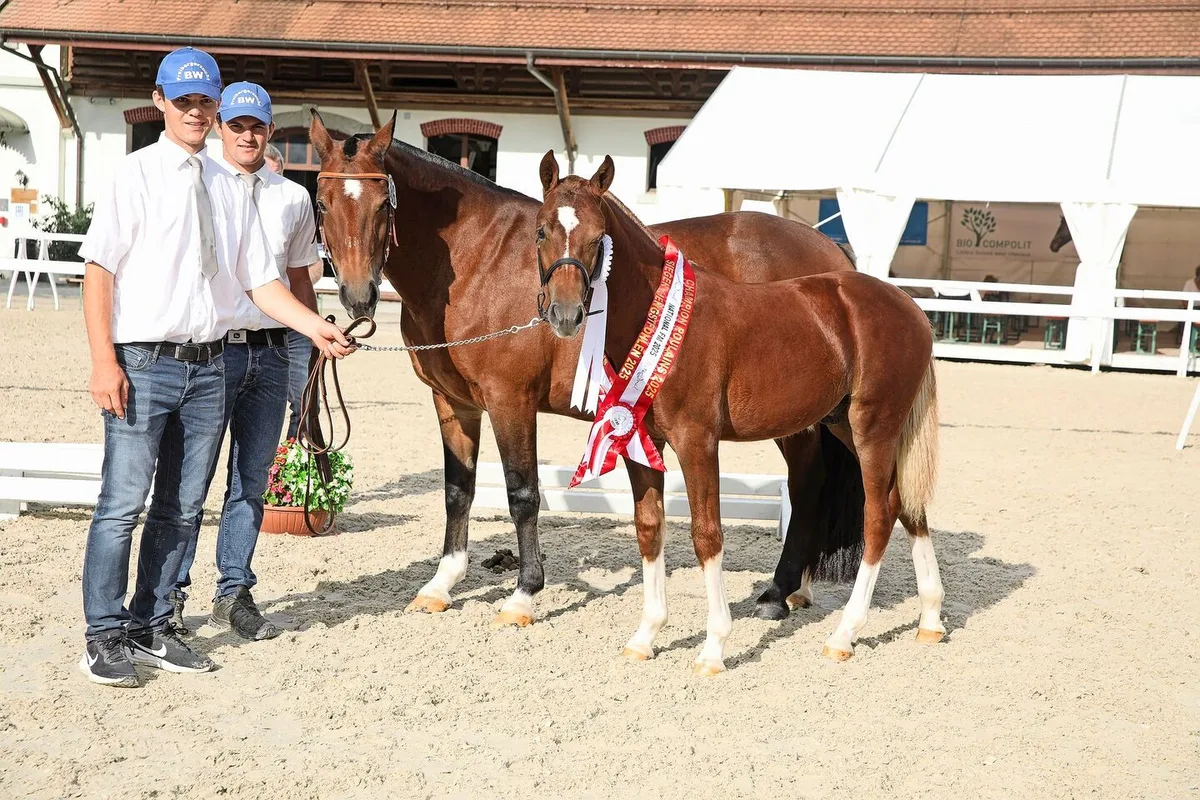 b868bf45e9315b2f7b0880dfcf4cbd00a1cfda3241e227997c131a3d7089b0a7 Mathias (links) und Michael Wüthrich präsentierten das Hengstfohlen Namir BW aus dem Hengst Never BW und der Stute Hamara, einer Tochter von Norway. Auch bei den Stutfohlen hatte die Familie Wüthrich grossen Erfolg und belegte mit Mirabel BW den zweiten Rang.