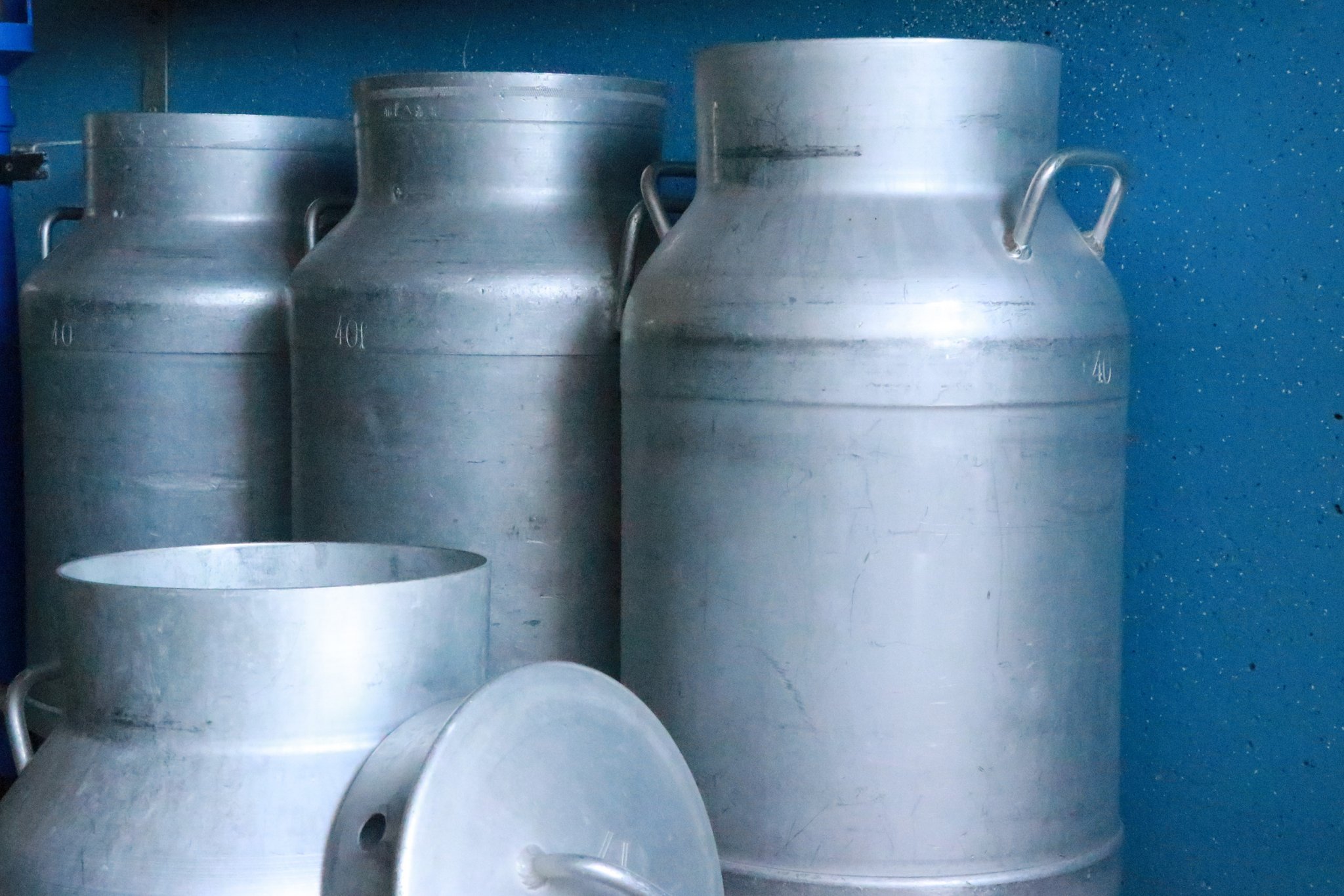 439 Betriebe weniger haben im letzten Jahr Milch produziert