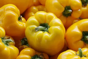 Peperoni wirkt sich positiv auf die Verdauung aus, fördert die Bildung von Magensaft und wirkt antibakteriell - zudem gilt das Gemüse als appetitanregend. (Bild lid/ji)