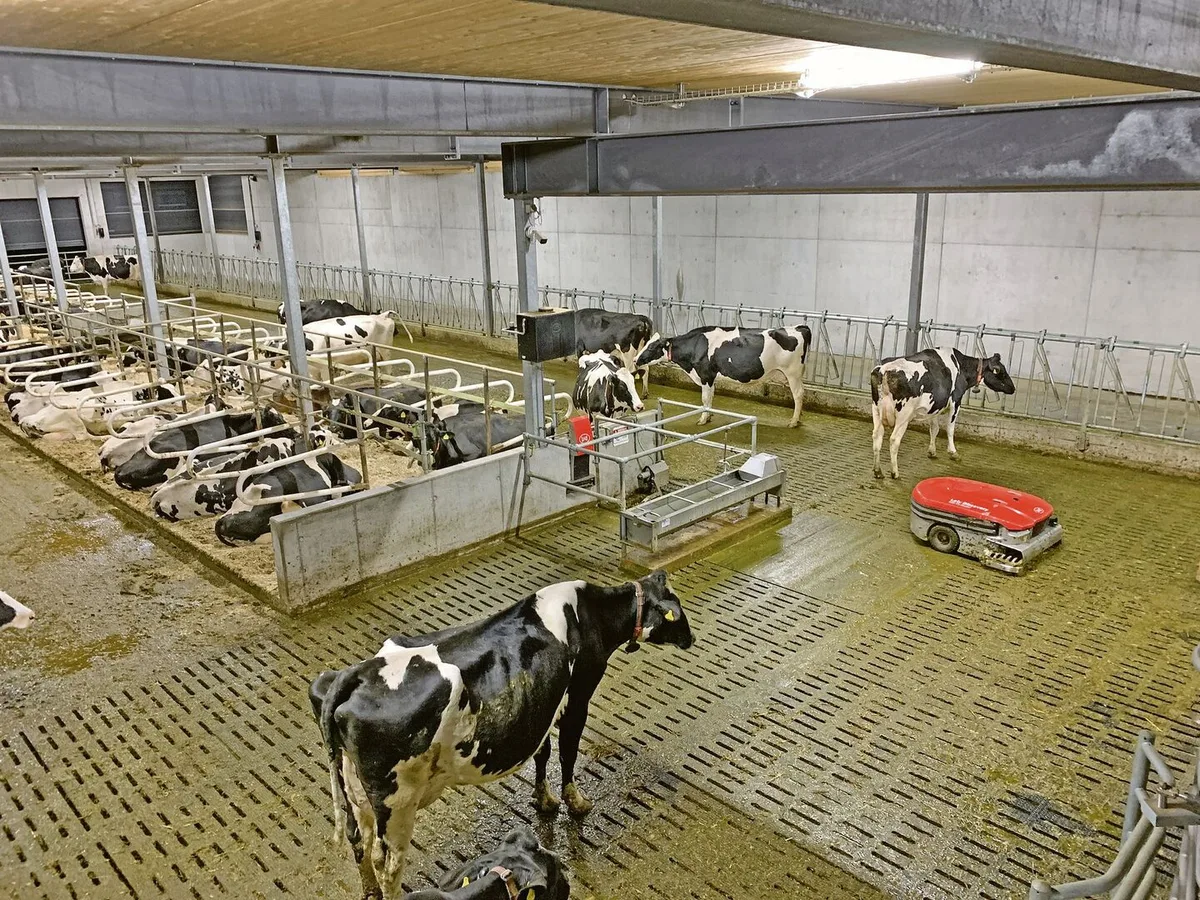 6a9852feff6547abd2a96eed86d51230611ff59977ba4522881a6bf0c3df4d15 Viele Massnahmen gegen Ammoniak, aber Wirkung noch wenig messbar
