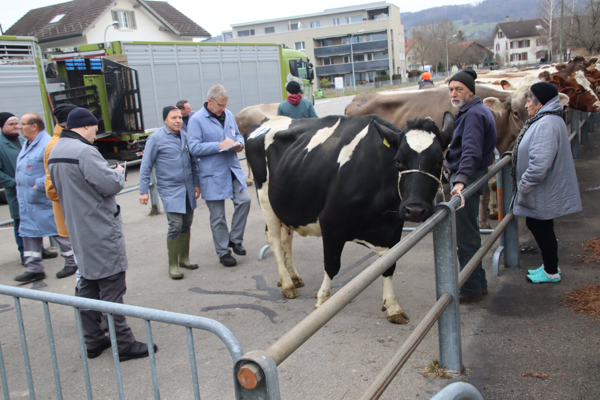 In Weinfelden läuft der Viehhandel rund
