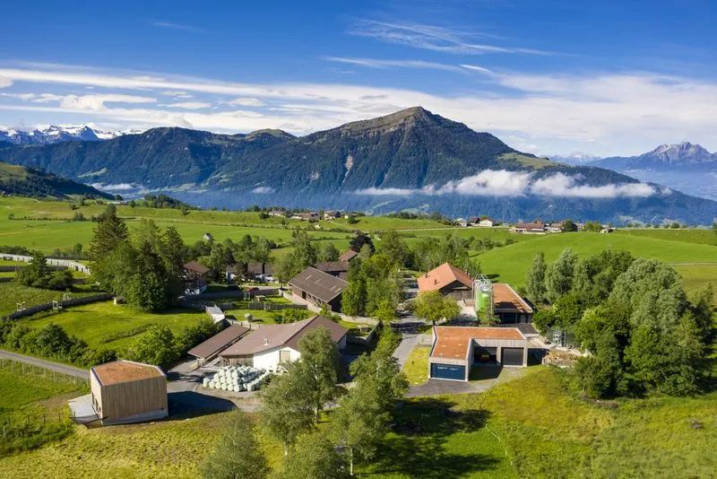 Das Früebüel aus der Luft: Neu gebaut wurden Damwild-Gehege mit Unterstand (vorne links) und eine Remise mit Feuerwehrdepot (vorne rechts). Die übrigen Bauten wurden renoviert und erweitert. (Bild Alessandro Della Bella / ETH / AgroVet-Strickhof)